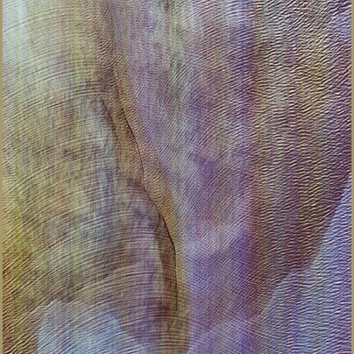 Couverture SUB VERSES de AKRON/FAMILY