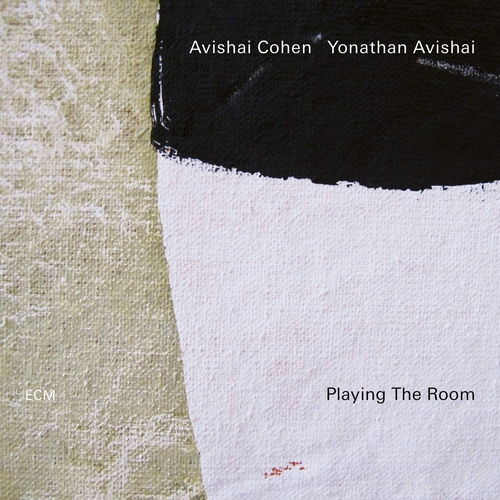 Couverture PLAYING THE ROOM de Avishai COHEN