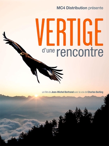 Couverture VERTIGE D'UNE RENCONTRE