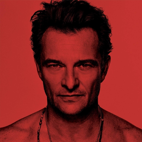 Couverture J'AI QUELQUE CHOSE À VOUS DIRE de David HALLYDAY