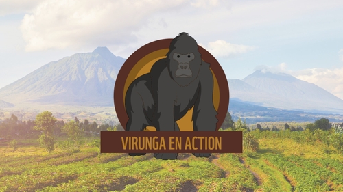 Couverture VIRUNGA EN ACTION