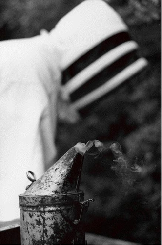 Couverture APICULTEUR de Samuel MITTELMAN