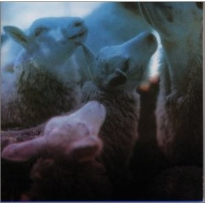 Couverture RUOSSA EANAN de Ulla PIRTTIJÄRVI