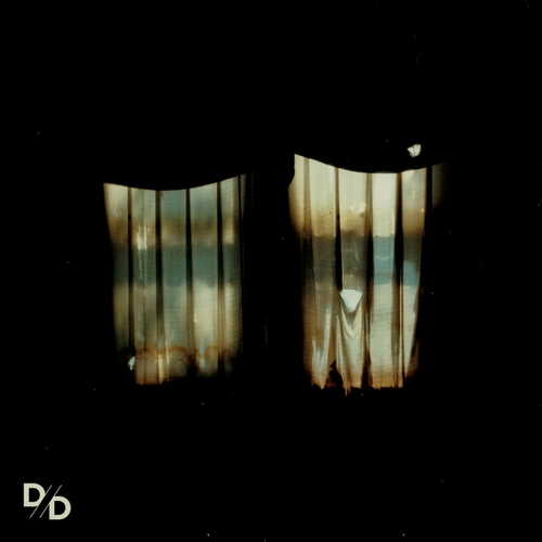 Couverture INSATIABLE de DIVIDE AND DISSOLVE