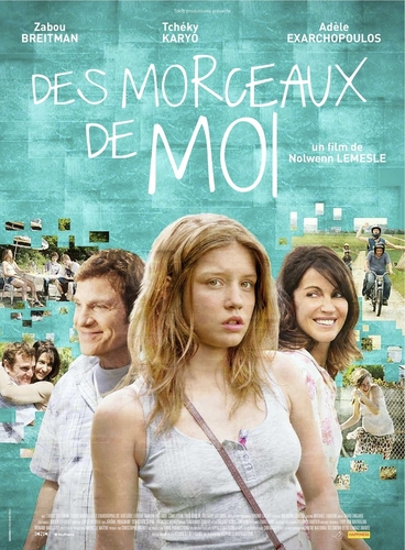 Couverture DES MORCEAUX DE MOI de Nolwenn LEMESLE