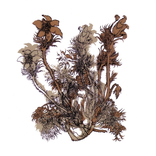 Couverture FRESQUES SUR LES PAROIS SECRÈTES DU CRÂNE de CHEVAL DE FRISE