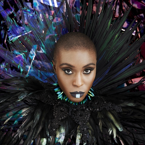 Couverture DREAMING ROOM de Laura MVULA