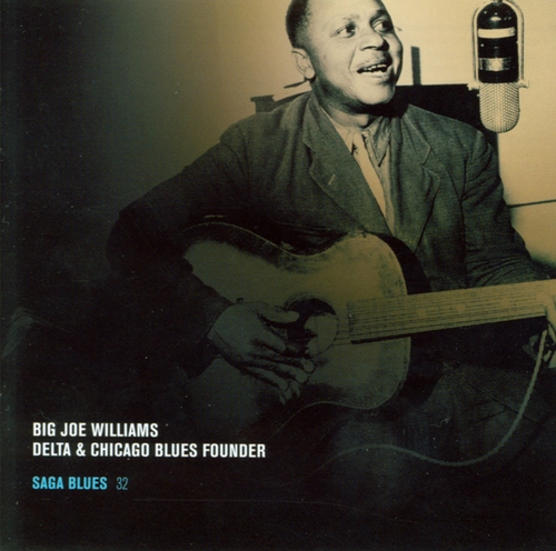 Couverture DELTA & CHICAGO BLUES FOUNDER de Big Joe WILLIAMS