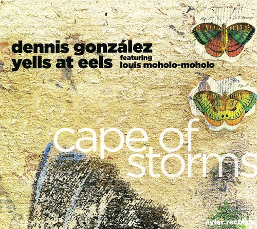 Couverture CAPE OF STORMS de Dennis GONZALEZ YELLS AT EELS