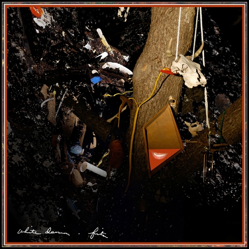 Couverture FITS de WHITE DENIM