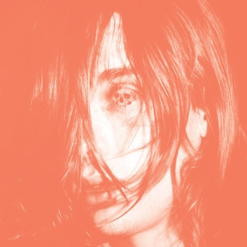 Couverture MICROCASTLE / WEIRD ERA CONTINUED de DEERHUNTER