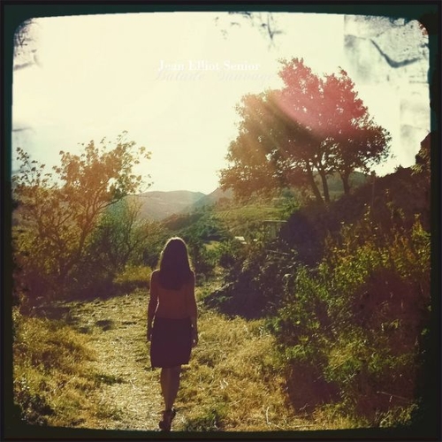 Couverture BALADE SAUVAGE de Jean-Elliot SENIOR