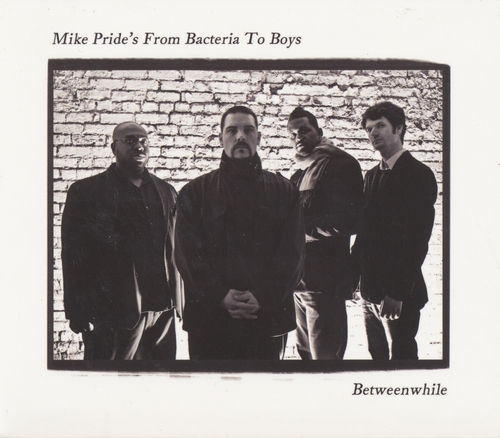 Couverture BETWEENWHILE de Mike PRIDE'S FROM BACTERIA TO BOYS
