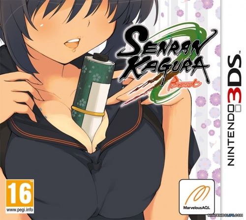 Couverture SENRAN KAGURA BURST