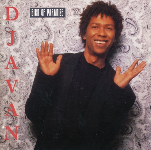 Couverture BIRD OF PARADISE de DJAVAN