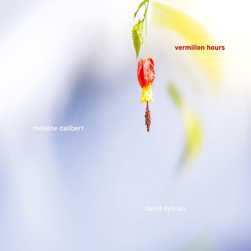 Couverture VERMILLION HOURS de Melaine DALIBERT & DAVID SYLVIAN