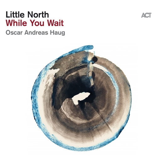Couverture WHILE YOU WAIT de LITTLE NORTH