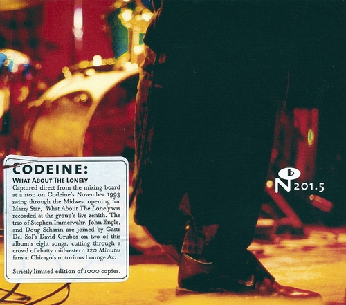 Couverture WHAT ABOUT THE LONELY? de CODEINE