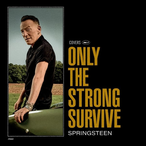 Couverture ONLY THE STRONG SURVIVE de Bruce SPRINGSTEEN
