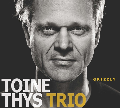 Couverture GRIZZLY de Toine THYS TRIO