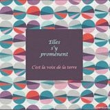 Couverture C'EST LA VOIX DE LA TERRE de ELLES S'Y PROMÈNENT
