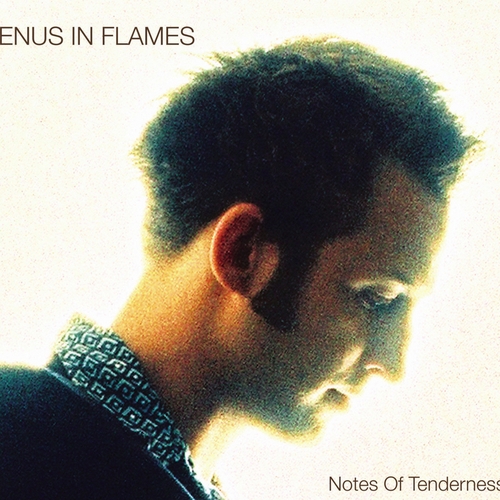 Couverture NOTES OF TENDERNESS de VENUS IN FLAMES