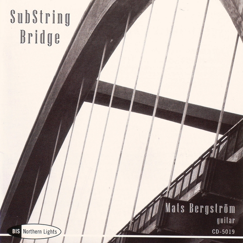 Couverture SUBSTRING BRIDGE