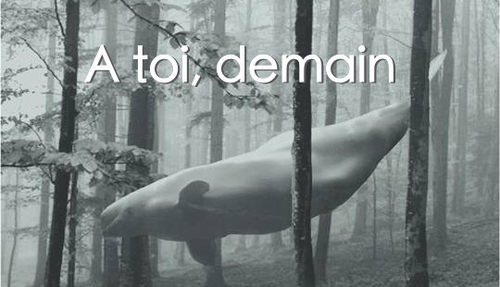 Couverture À TOI, DEMAIN de Eric SMEESTERS