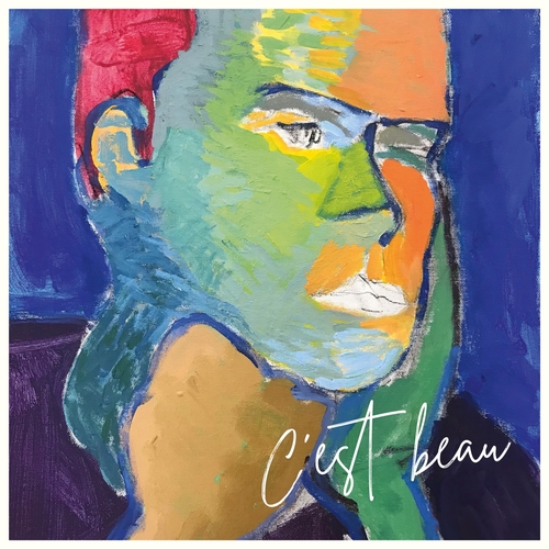 Couverture C'EST BEAU de ACQUIN