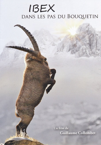 Couverture IBEX, DANS LES PAS DU BOUQUETIN