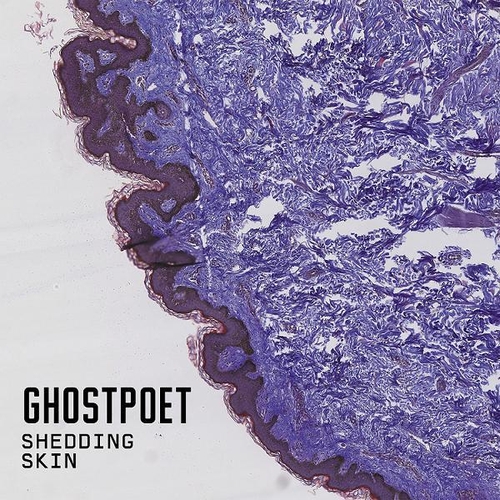 Couverture SHEDDING SKIN de GHOSTPOET