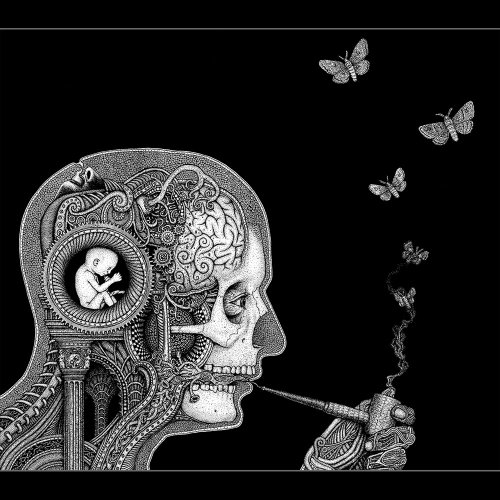 Couverture COGNITIVE de SOEN