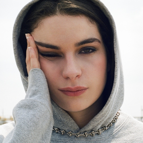 Couverture PLAISIR RISQUE DÉPENDANCE de Adèle CASTILLON