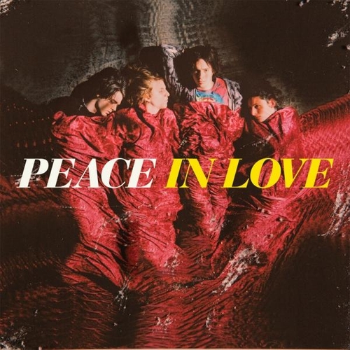 Couverture IN LOVE de PEACE