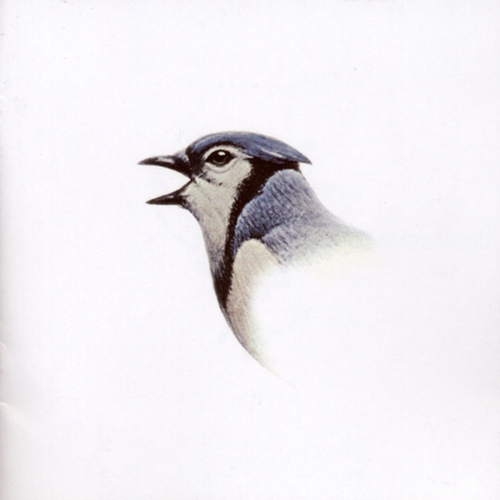 Couverture WAVES de THE DEVLINS