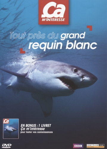 Couverture TOUT PRÈS DU GRAND REQUIN BLANC