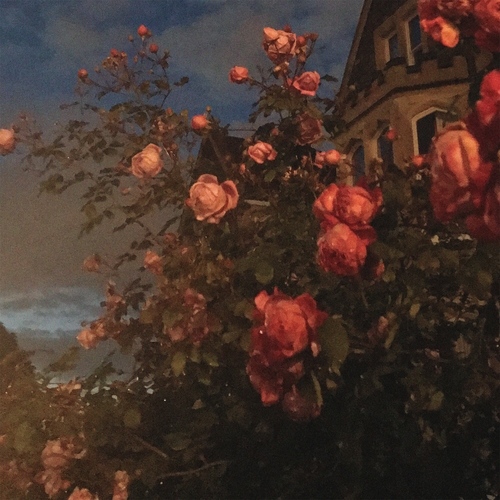 Couverture LOVE de John BENCE