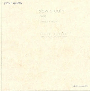 Couverture DRUIDS AND QUESTIONS de Eva-Maria HOUBEN