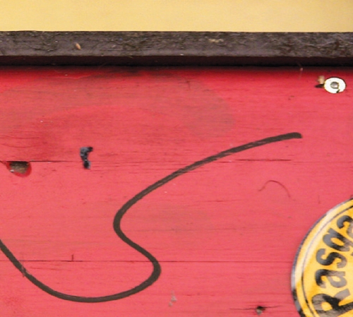 Couverture GREEN JUST AS I COULD SEE de Andrea NEUMANN & BONNIE JONES