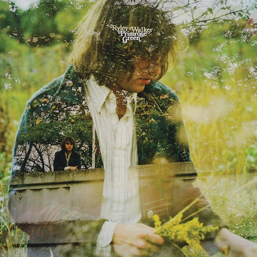 Couverture PRIMOSE GREEN de Ryley WALKER