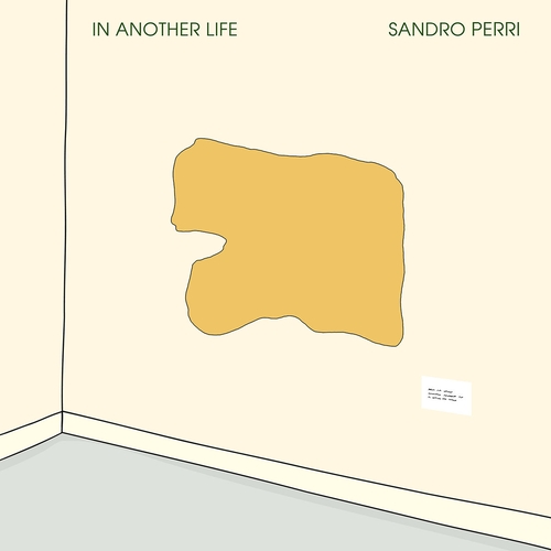 Couverture IN ANOTHER LIFE de Sandro PERRI