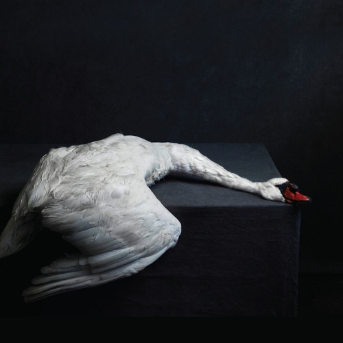 Couverture MASS VI de AMENRA