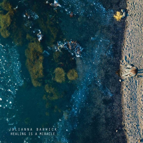 Couverture HEALING IS A MIRACLE de Julianna BARWICK