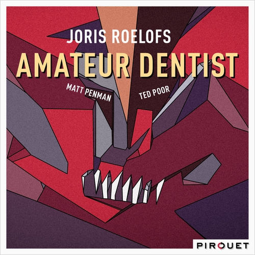 Couverture AMATEUR DENTIST de Joris ROELOFS