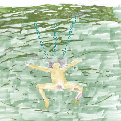 Couverture DREAMS SAY, VIEW, CREATE, SHADOW LEADS de Dustin WONG