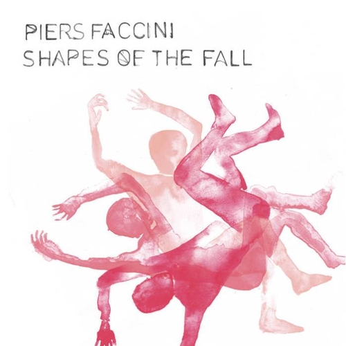Couverture SHAPES OF THE FALL de Piers FACCINI