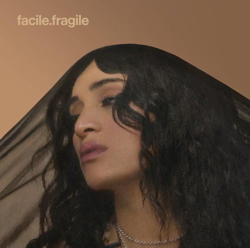 Couverture FACILE.FRAGILE de Camélia JORDANA