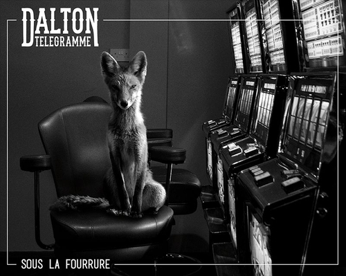 Couverture SOUS LA FOURRURE de DALTON TÉLÉGRAMME