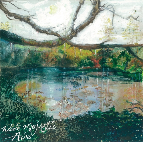 Couverture WIDE MAJESTIC AIRE de TREMBLING BELLS
