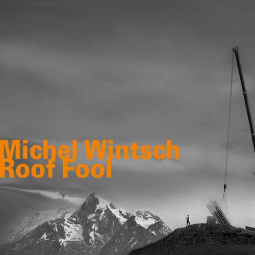 Couverture ROOF FOOL de Michel WINTSCH